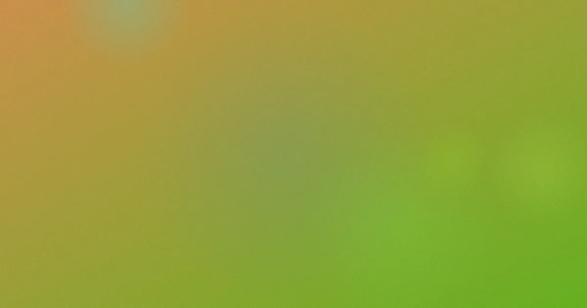 诱僧在线观看攻略：四类渠道五步对比